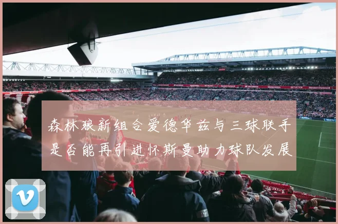 森林狼新组合爱德华兹与三球联手是否能再引进怀斯曼助力球队发展