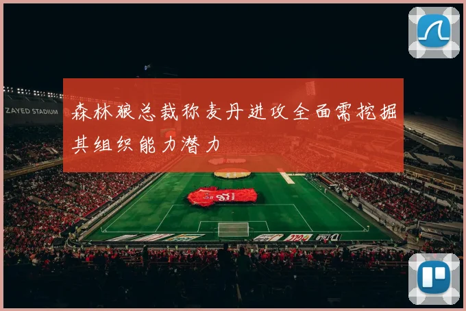 森林狼总裁称麦丹进攻全面需挖掘其组织能力潜力